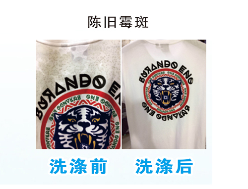 陈旧霉斑